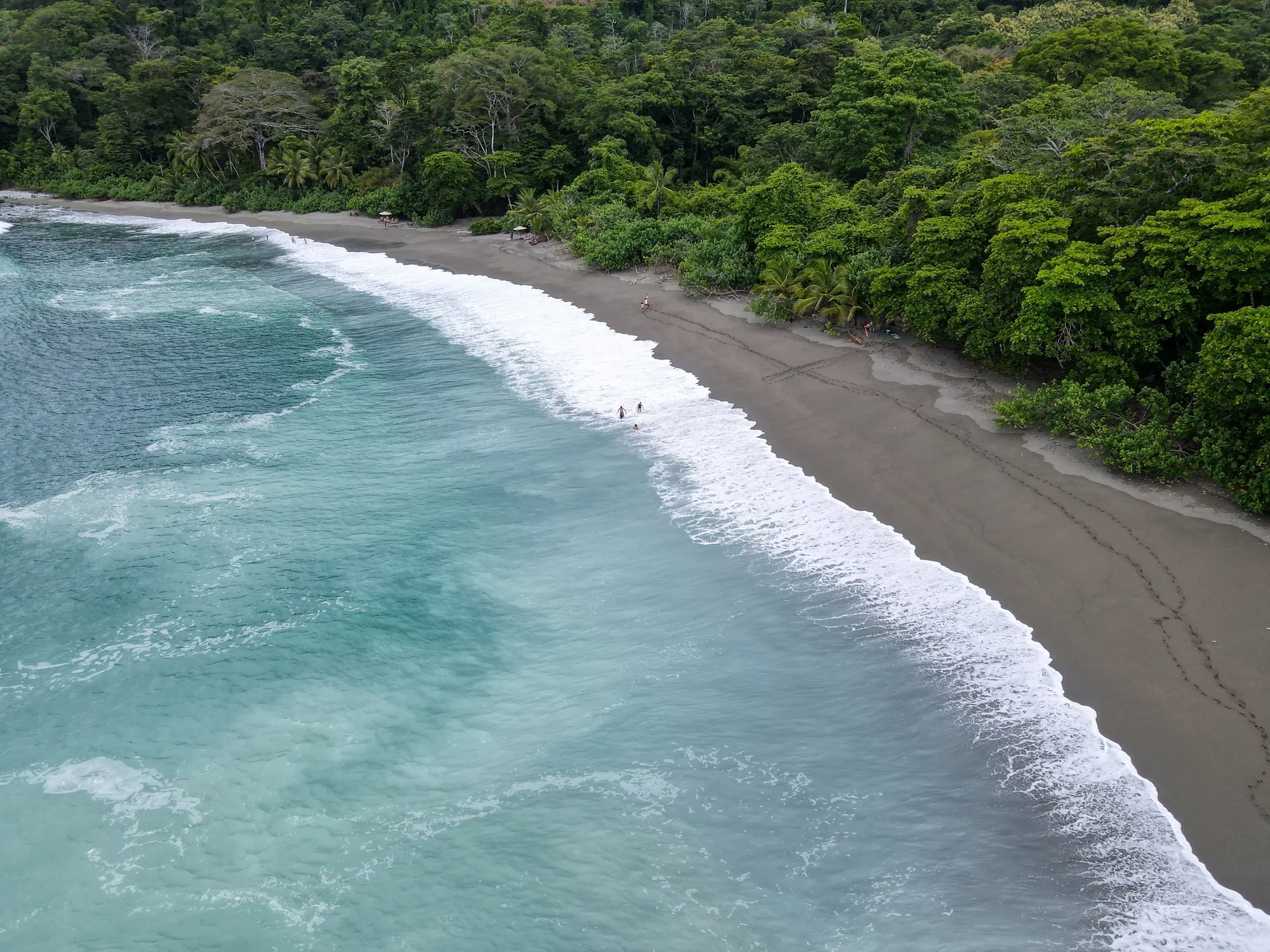 Aerial view of a curved dark-sand beach with surf, backed by dense rainforest