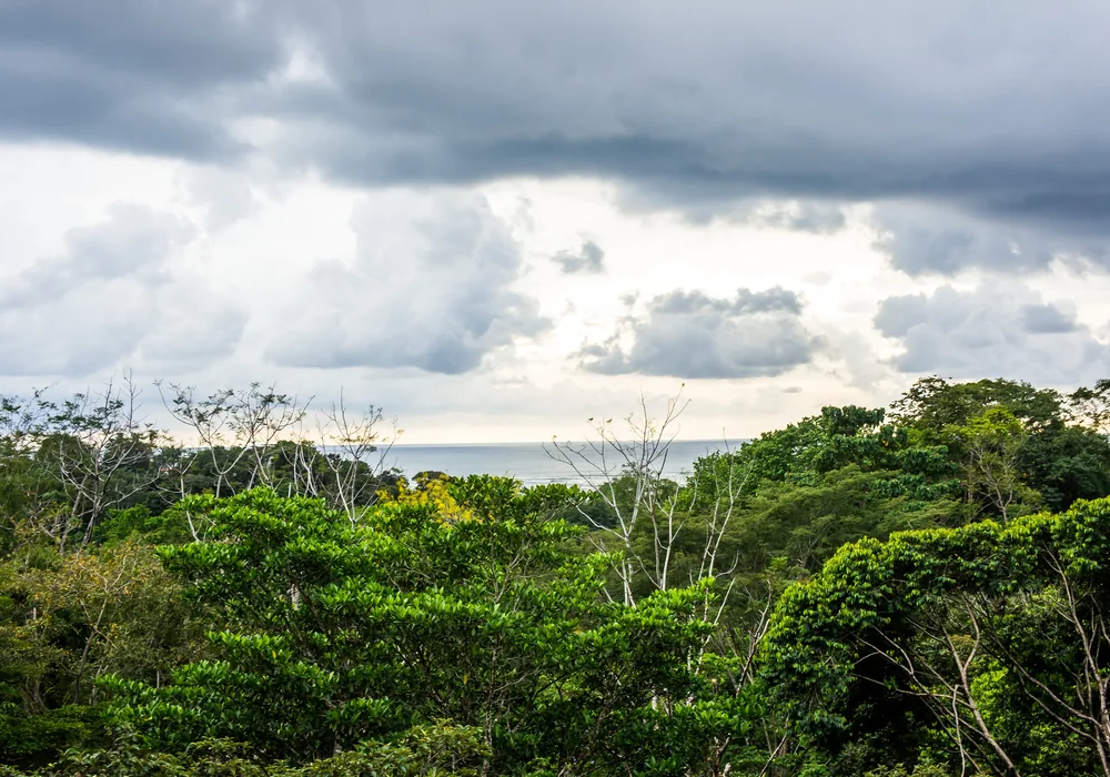 Forest hills meeting the Pacific on the Costanera Sur