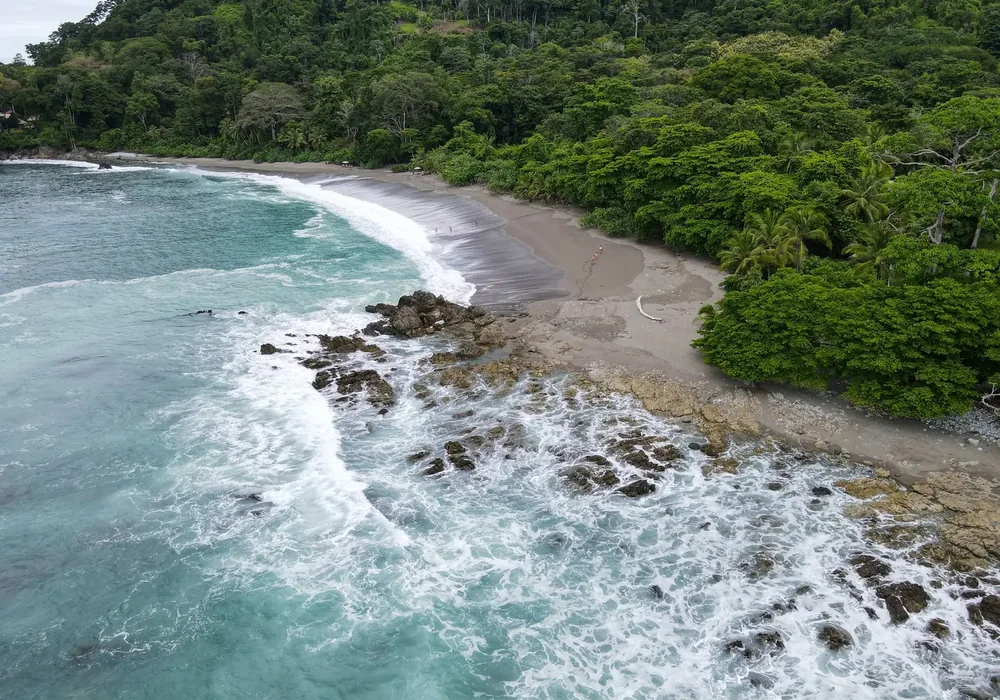 Rainforest on the Osa Peninsula from the air. Photo: Joshua ten Brink / WildPhotography.com