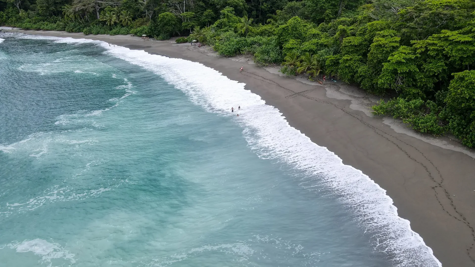 Rainforest meets the Pacific on Costa Rica's southern coast. Photo: Joshua ten Brink / WildPhotography.com