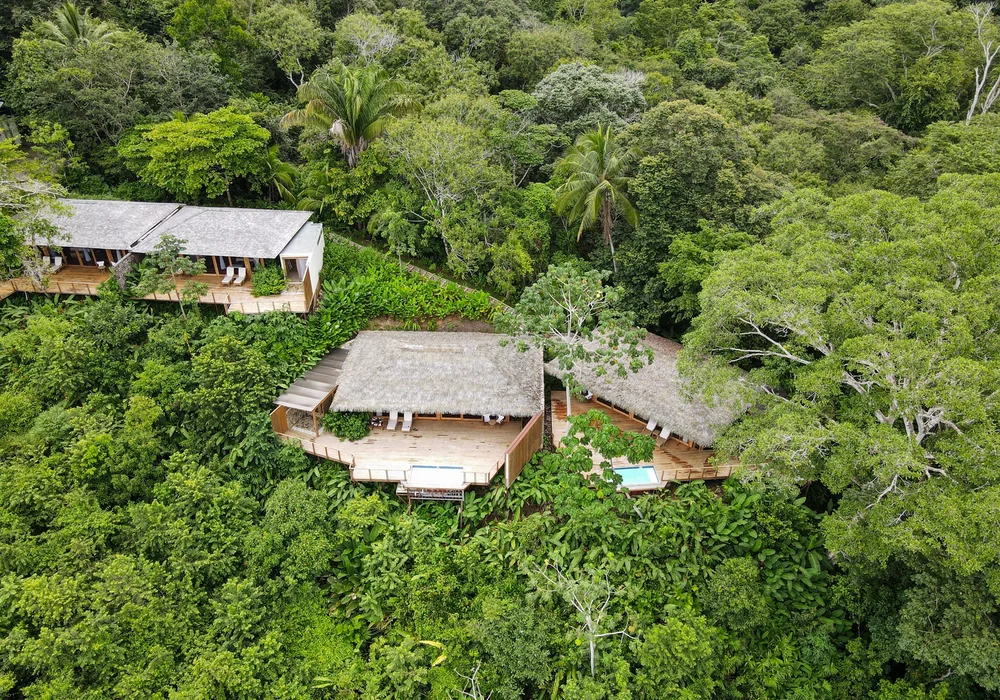 Lodge buildings in the Osa Peninsula rainforest. Photo: Joshua ten Brink / WildPhotography.com