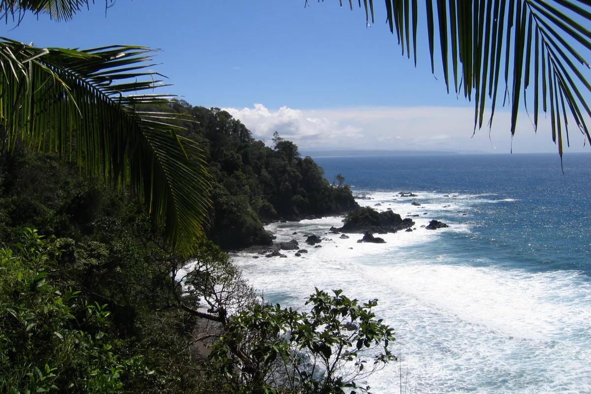 Rainforest and surf seen from Isla del Caño