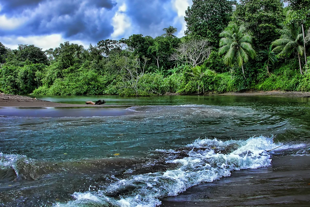 Río Agujitas flowing out of the jungle in the Drake Bay area