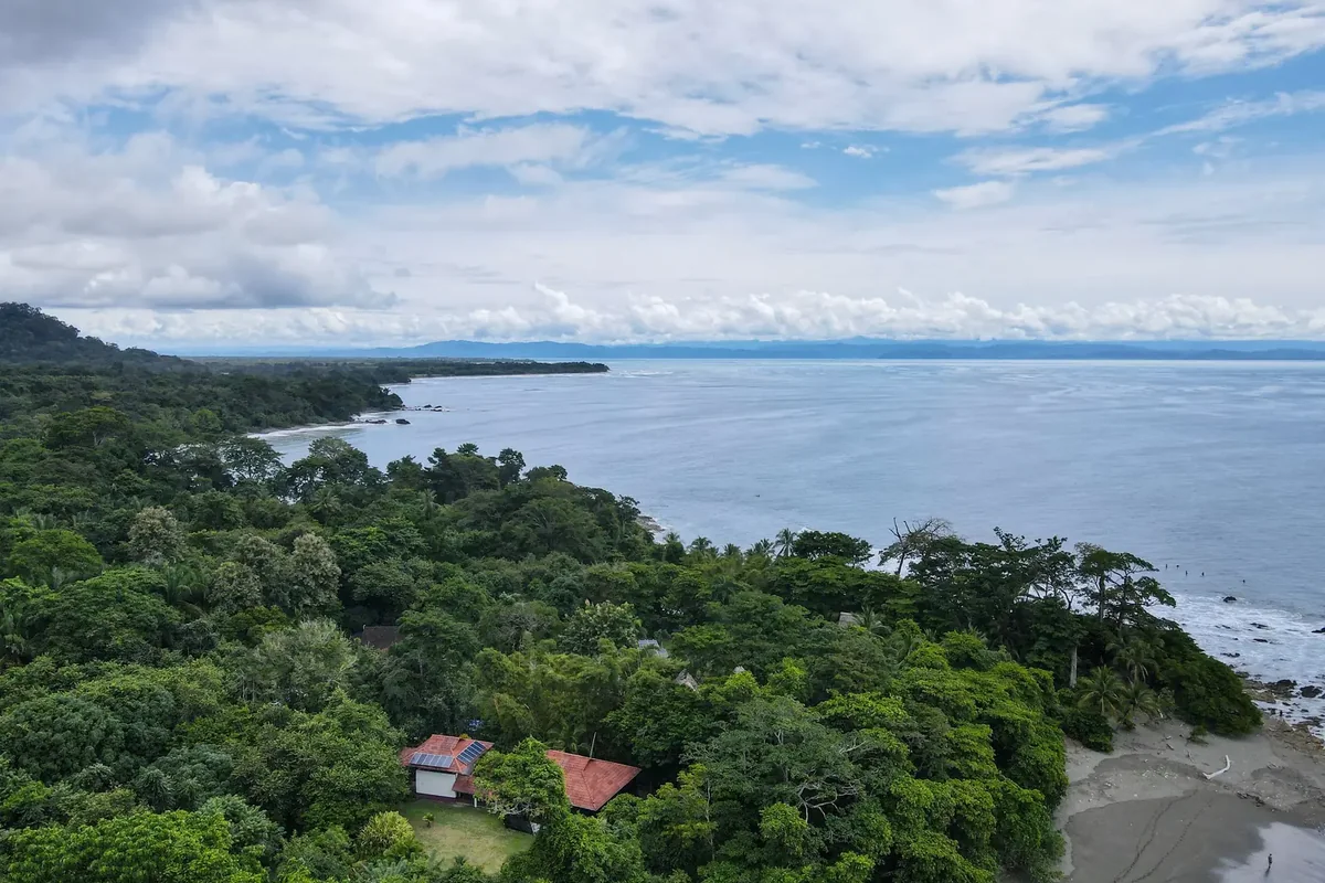 Dense rainforest on the Osa Peninsula, gateway to Corcovado. Photo: Joshua ten Brink / WildPhotography.com