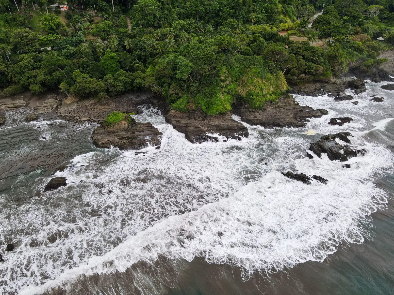 Aerial view of surf breaking over a rocky shore below forest